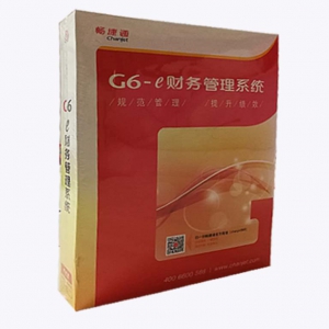 畅捷通软件-政府软件G6
