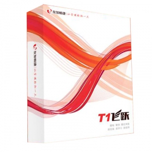 友加畅捷-T1普及